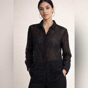Black Sheer Velvet Burnout Floral Button-Up Blouse